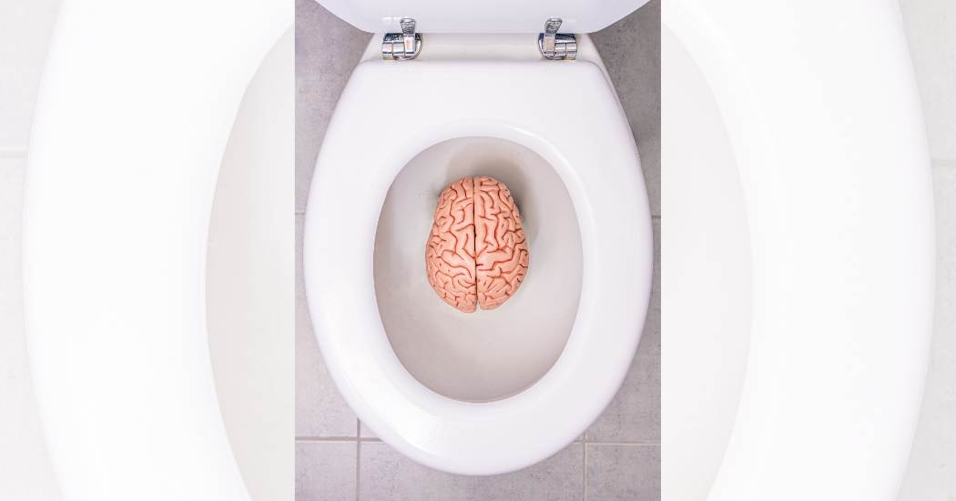 Foto van een brein dat in de toiletpot ligt