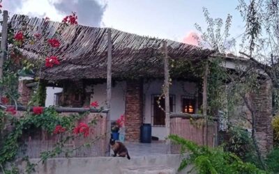 5 jaar later nog steeds klachtenvrij van stressincontinentie